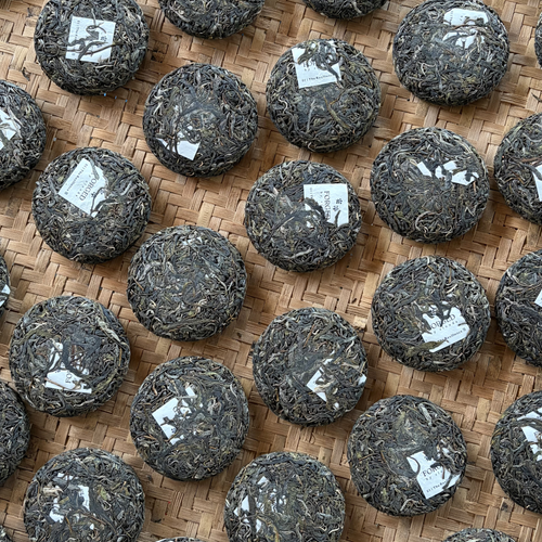 01 | The Resilience 隱 (Huazhu Liangzi Ancient Tree Raw Puerh 2026)
